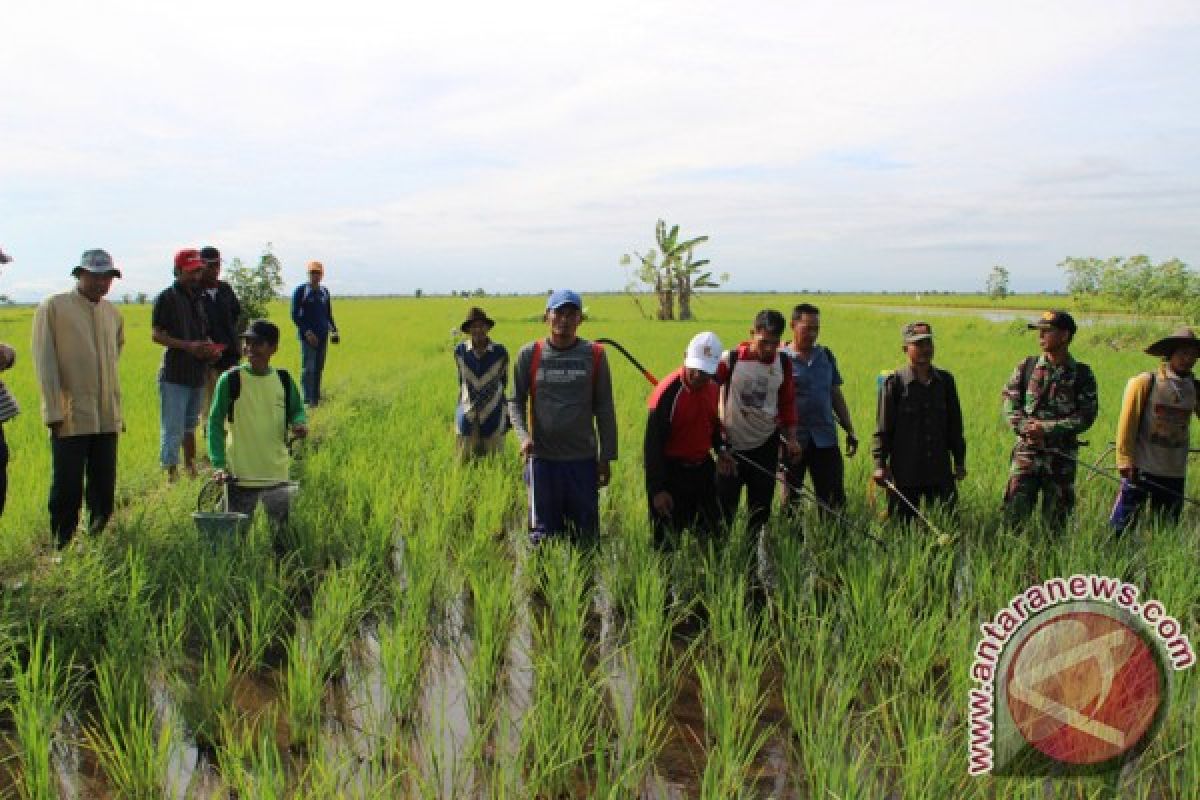 Bupati Hadiri Temu Lapang Desa Sungai Riam