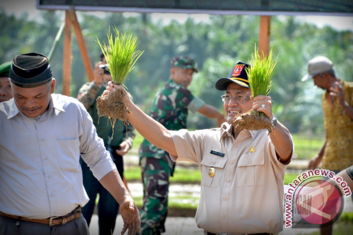 YHLI Lakukan Penghijauan di Danau Maninjau Sampai 2021