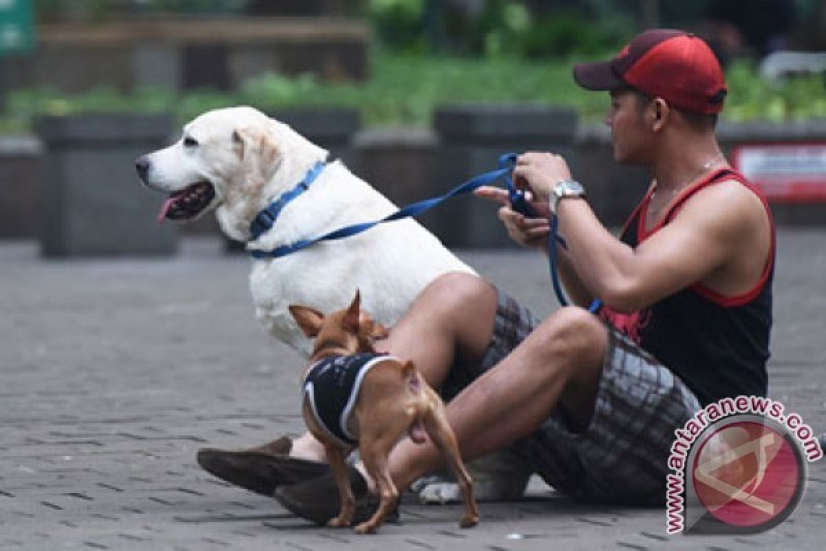 Ini tanda-tanda anjing peliharaan menyukai Anda