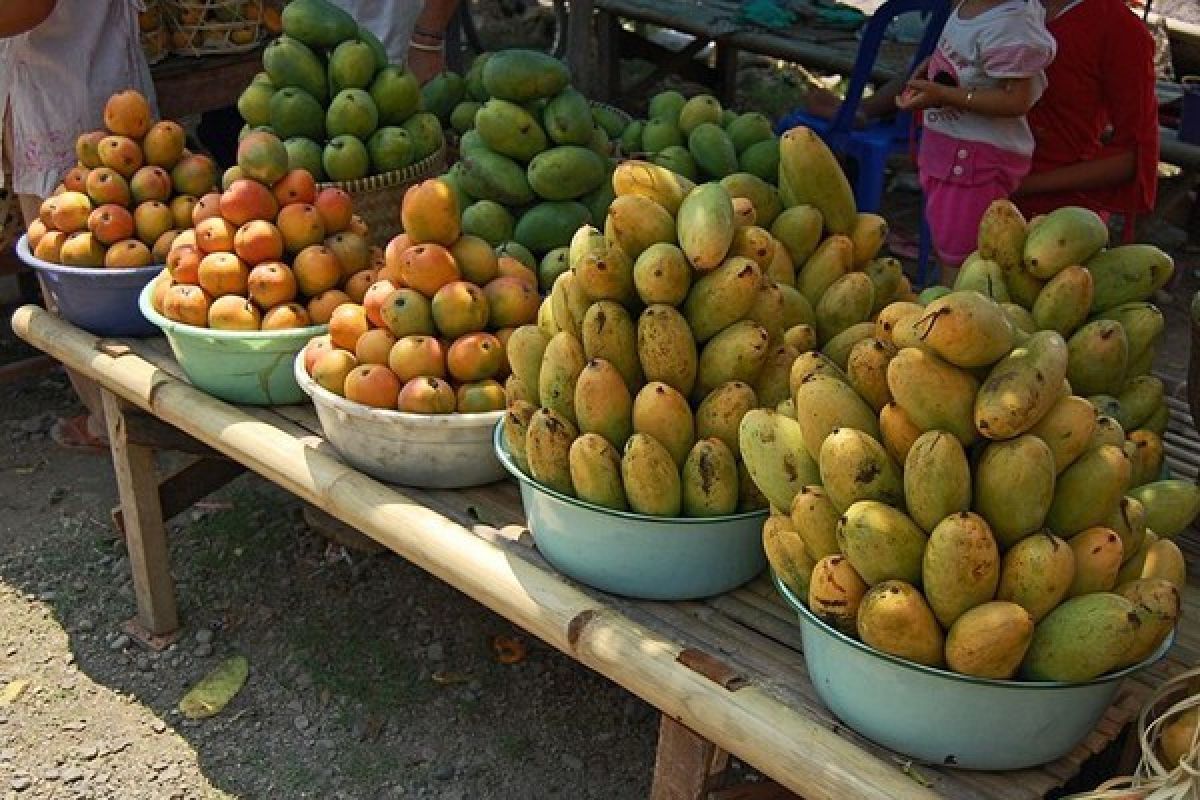 Benarkah kulit mangga bisa atasi pencemaran akibat minyak?