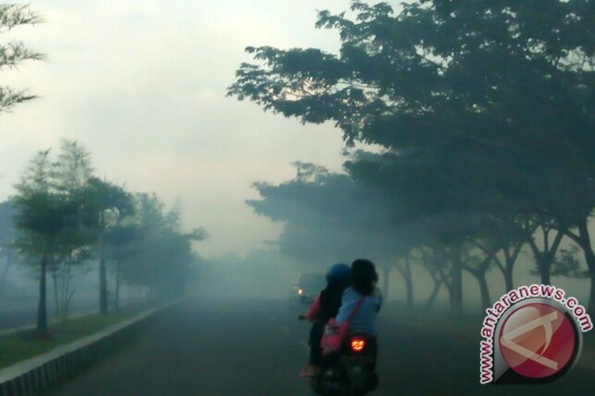 Pengendara Keluhkan Asap Pembakaran Padi Di Pringsewu  