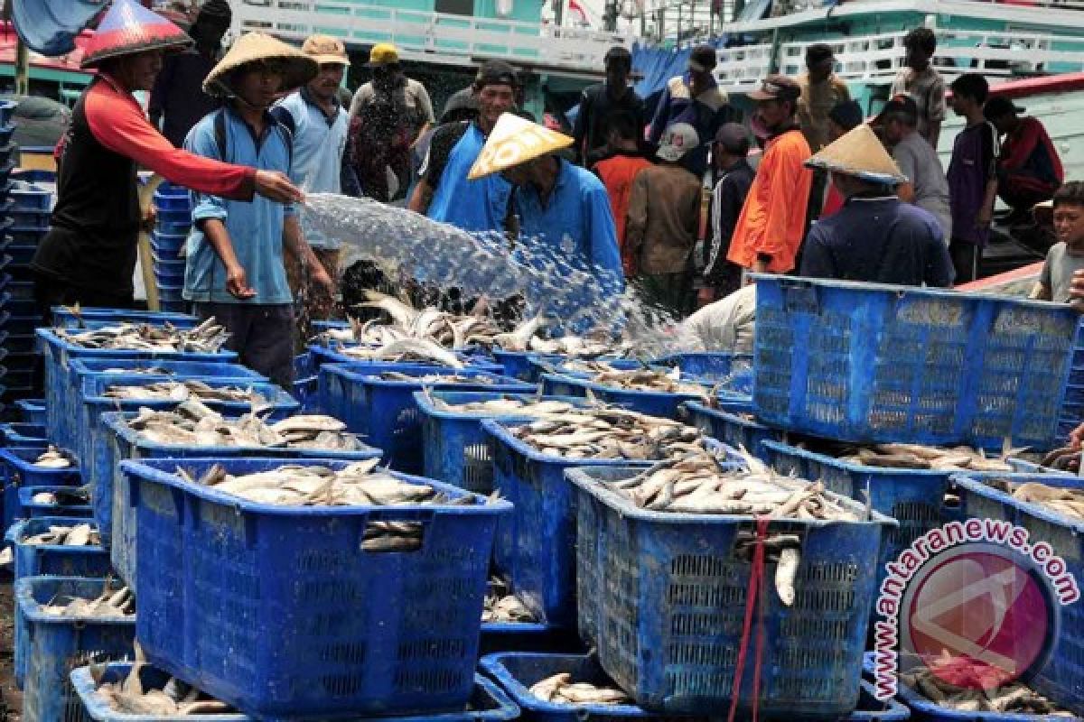 Dirjen KKP: Stok ikan cukup Ramadhan-Lebaran