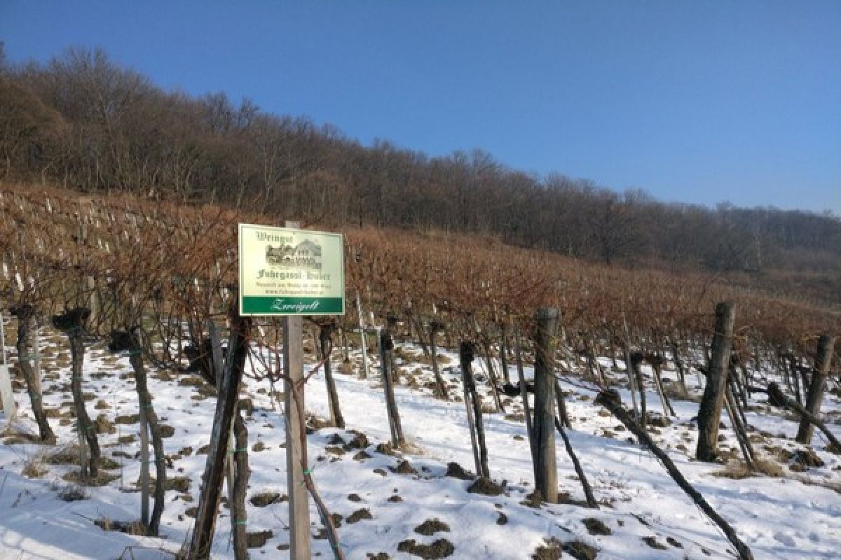 Petani Austria bersiap hadapi malam sangat dingin