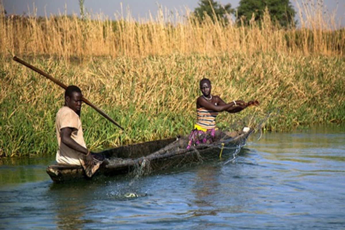 FAO tarik staf dari sebagian Sudan Selatan