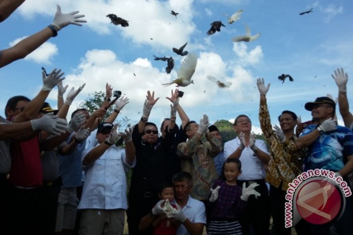 Yayasan GML Lepasliarkan Ribuan Ekor Burung