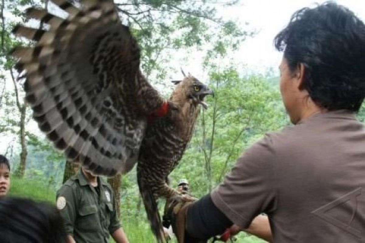 BKSDA Jateng Bentuk Forum Peduli Pelestarian Satwa Langka