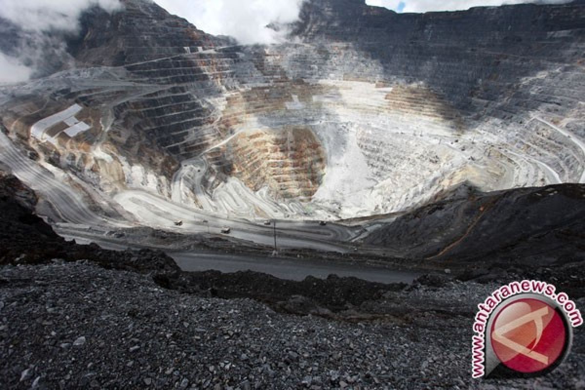 Kemendag Keluarkan Surat Izin Eskpor Freeport Indonesia