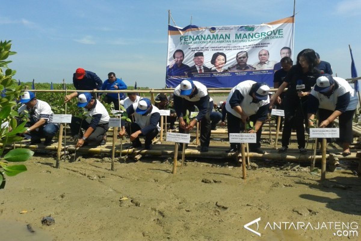 Mangroves Can Help Develop Ecotourism: Minister