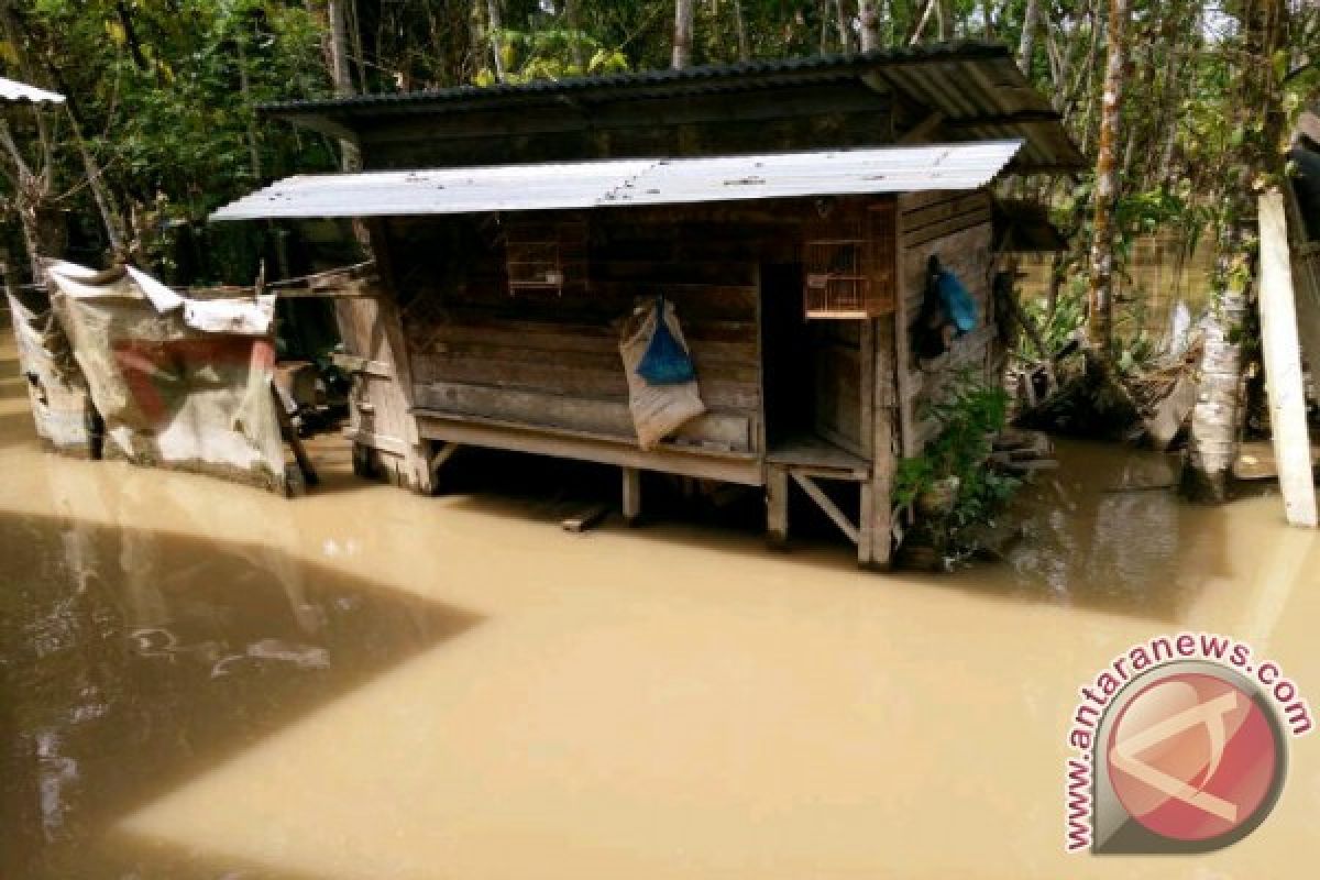 Air Sungai Batangtoru Kembali Meluap