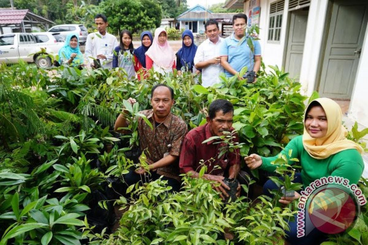 PT Timah Bantu Desa Riau 1.000 Bibit Buah