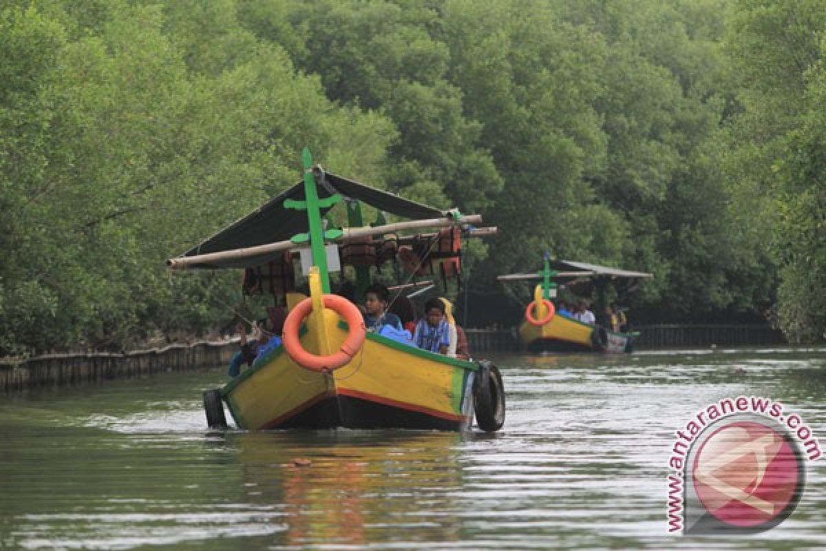 Luhut canangkan gerakan nasional rehabilitasi mangrove