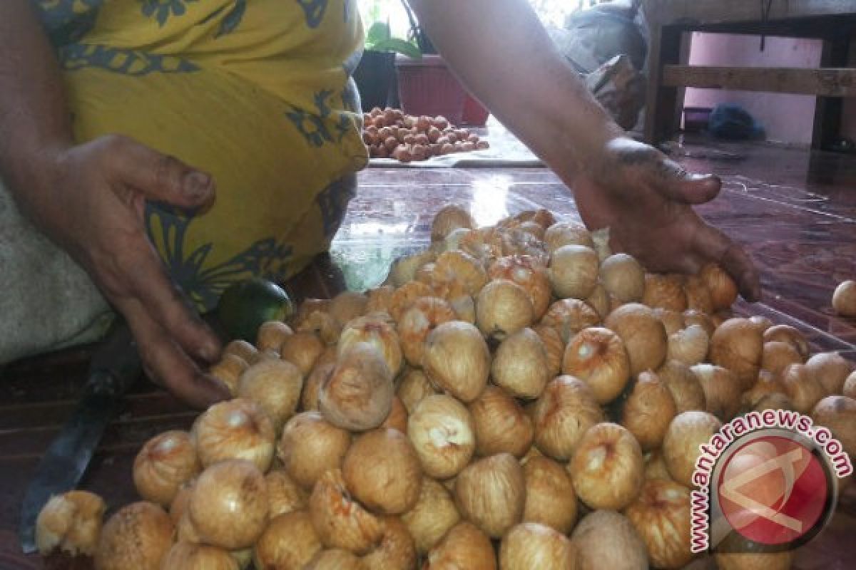 Buah Pinang Potensi Ekonomi Belum Merakyat