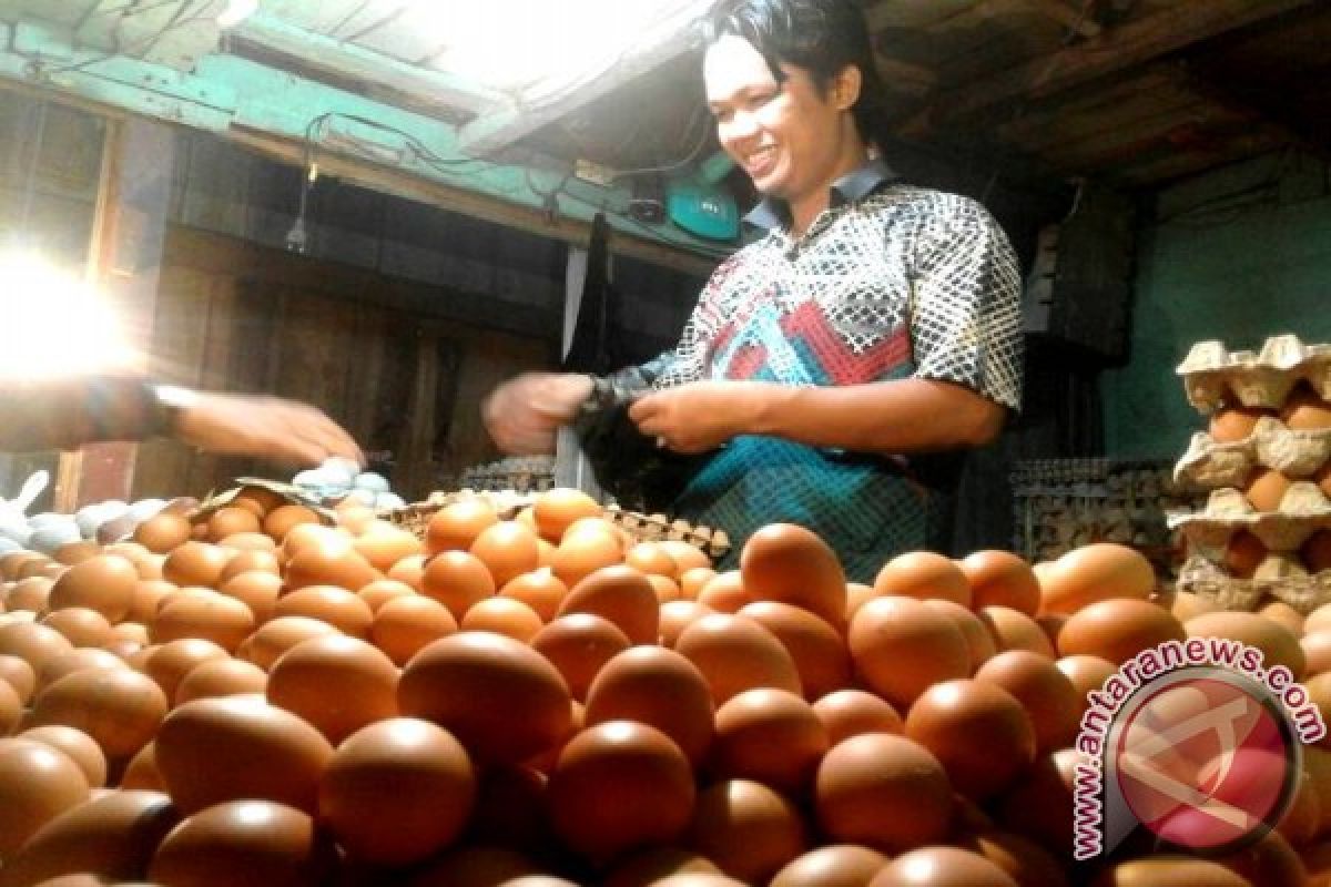 Pedagang Was-was Harga Telur Melonjak Jelang Ramadhan 