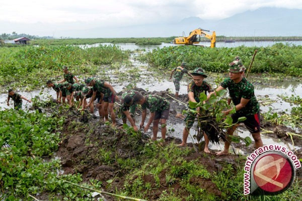 Enceng gondok sebagai bahan pakan ikan alternatif