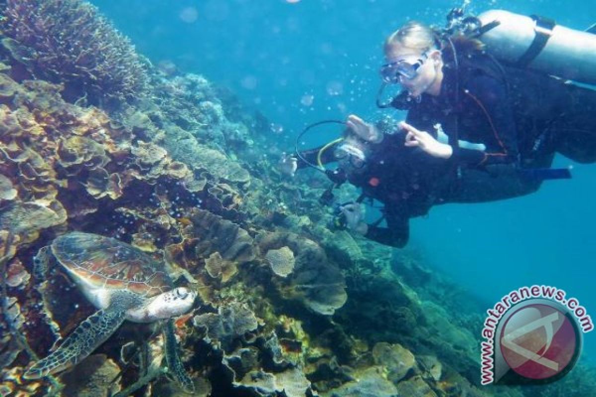 "Dive Center" asing dominasi wisata Komodo