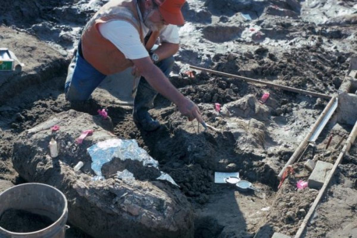 Temuan arkeologi di California dinilai bisa merevisi sejarah manusia