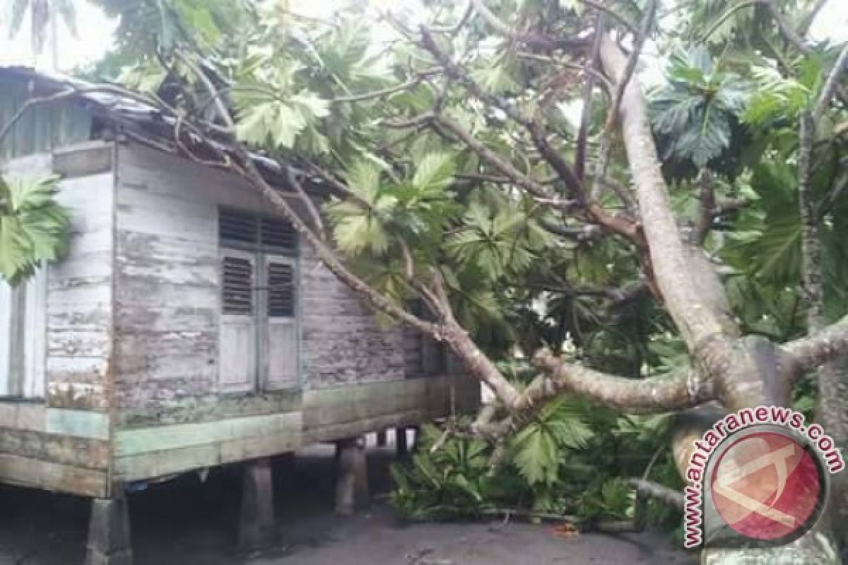 Enam Rumah Warga Lingga Dirusak Puting Beliung