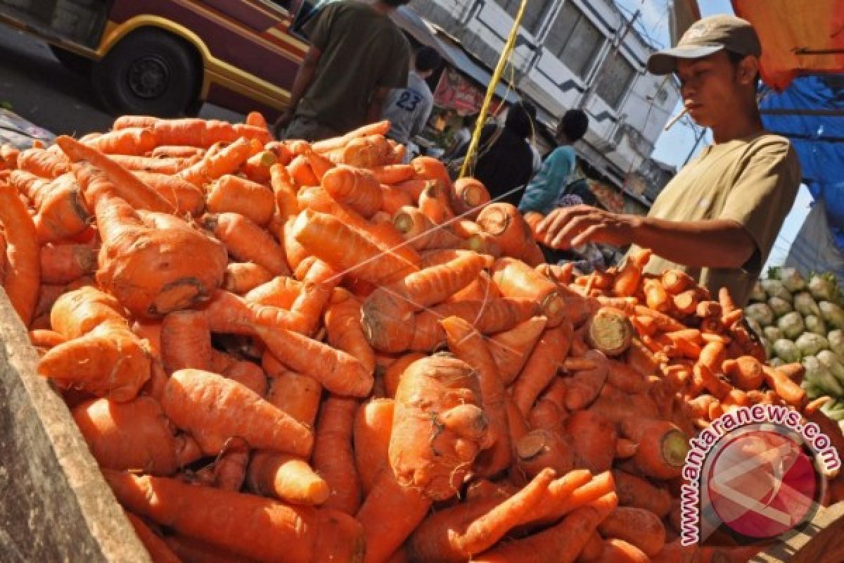 Harga wortel di Ambon Rp46.600/kg
