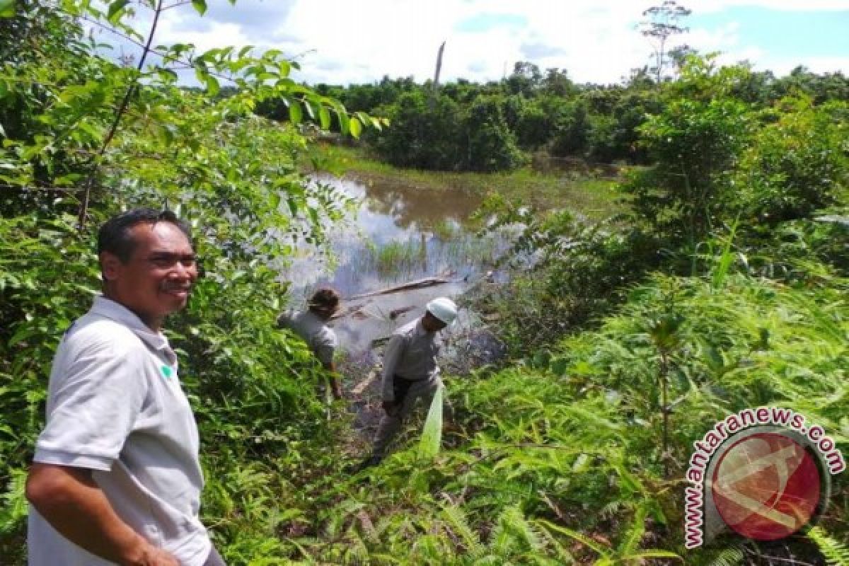 Perusahaan Di Kotim Respons Usaha Perkebunan Berkelanjutan 