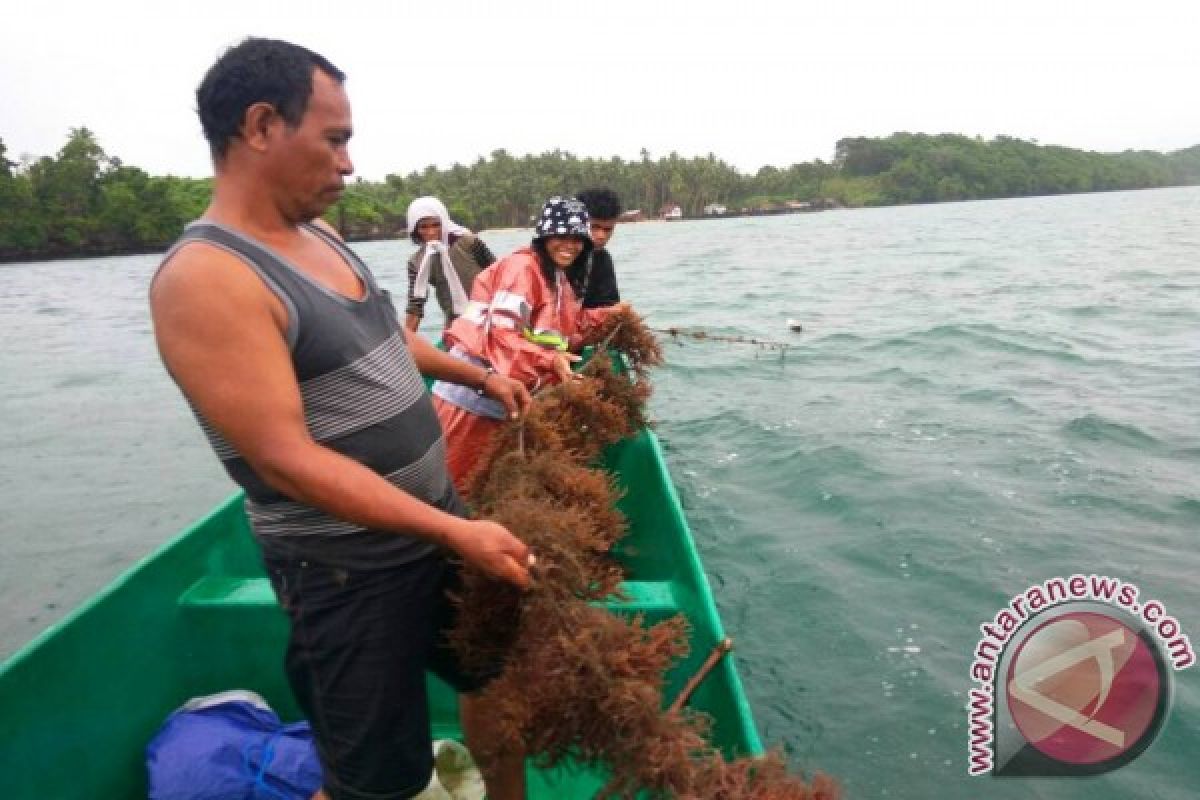 Penyuluh Perikanan Bantu Dampingi Nelayan Arui