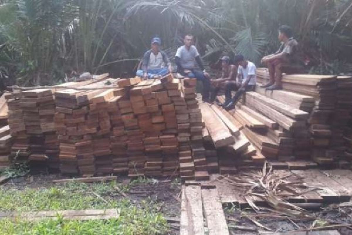 3 Pengangkut Kayu Ilegal Diamankan Polres Meranti, Pemiliknya Masih DPO