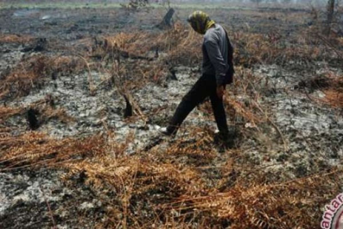 Akhirnya Kebakaran Lahan Pemkab Bengkalis Berhasil Dipadamkan