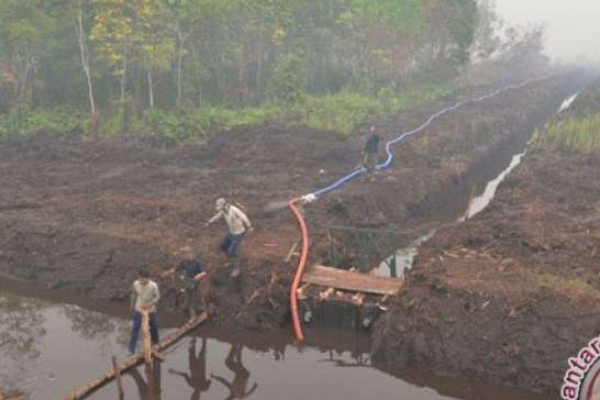 Antisipasi Karlahut, Polda Riau Desak Adanya Pembangunan 3.000 Sekat Kanal