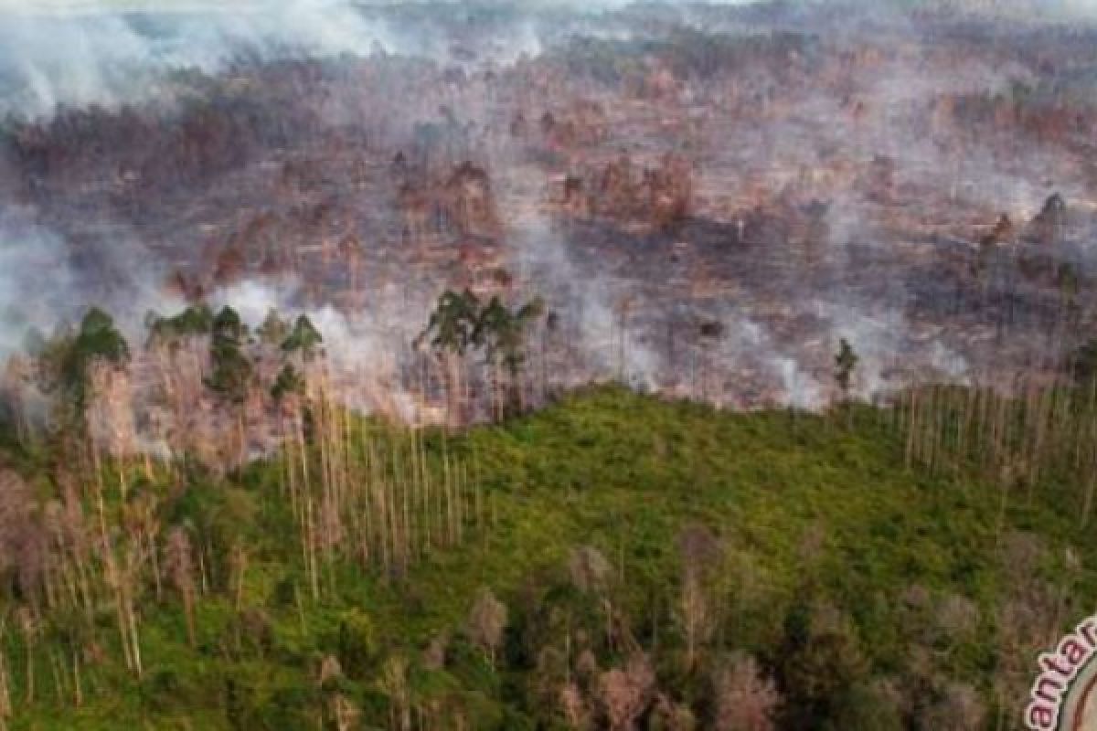 2017, Ancaman Kebakaran Hutan Di Indonesia Masih Tingggi