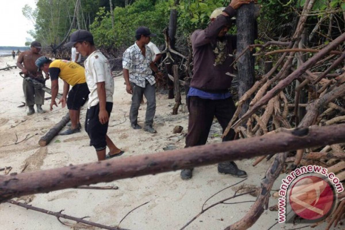 Tekan Abrasi, Warga Pesisir Labuhanbatu Bentengi Hutan Bakau