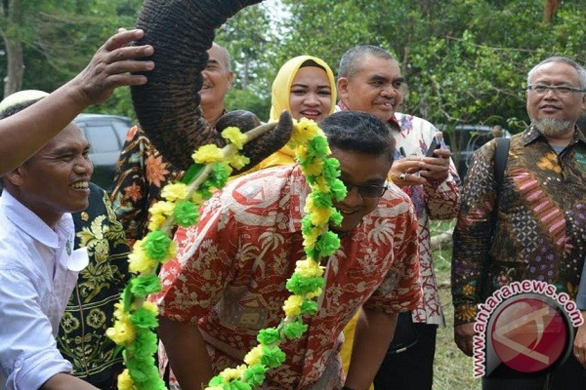 Gajah TNWK Kalungkan Bunga Ke Anggota DPR RI 