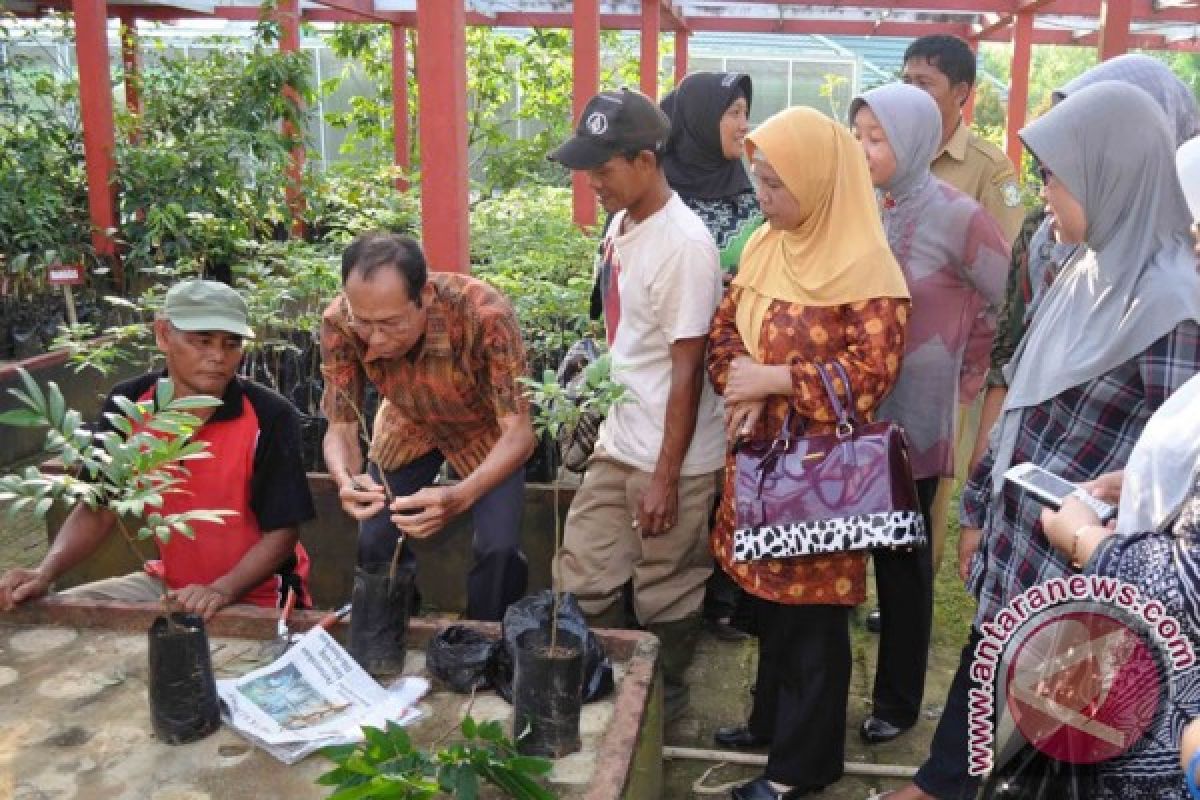 Karang Indah Wakili Lomba Desa Tingkat Provinsi