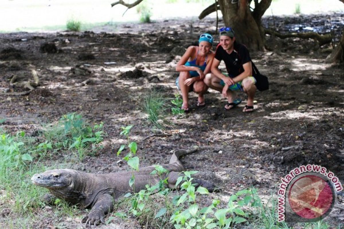 39 delegasi IMF-WB beli paket wisata Komodo