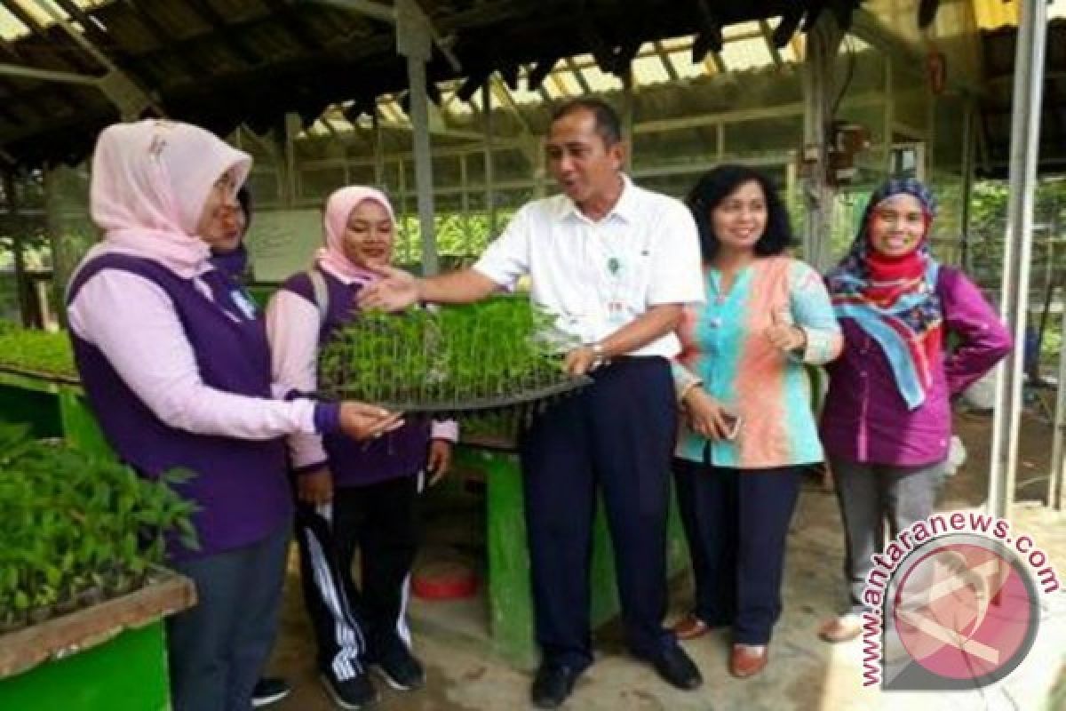 Dinas Pangan Kabupaten Bangka Panen Cabai di Lingkungan Kantor