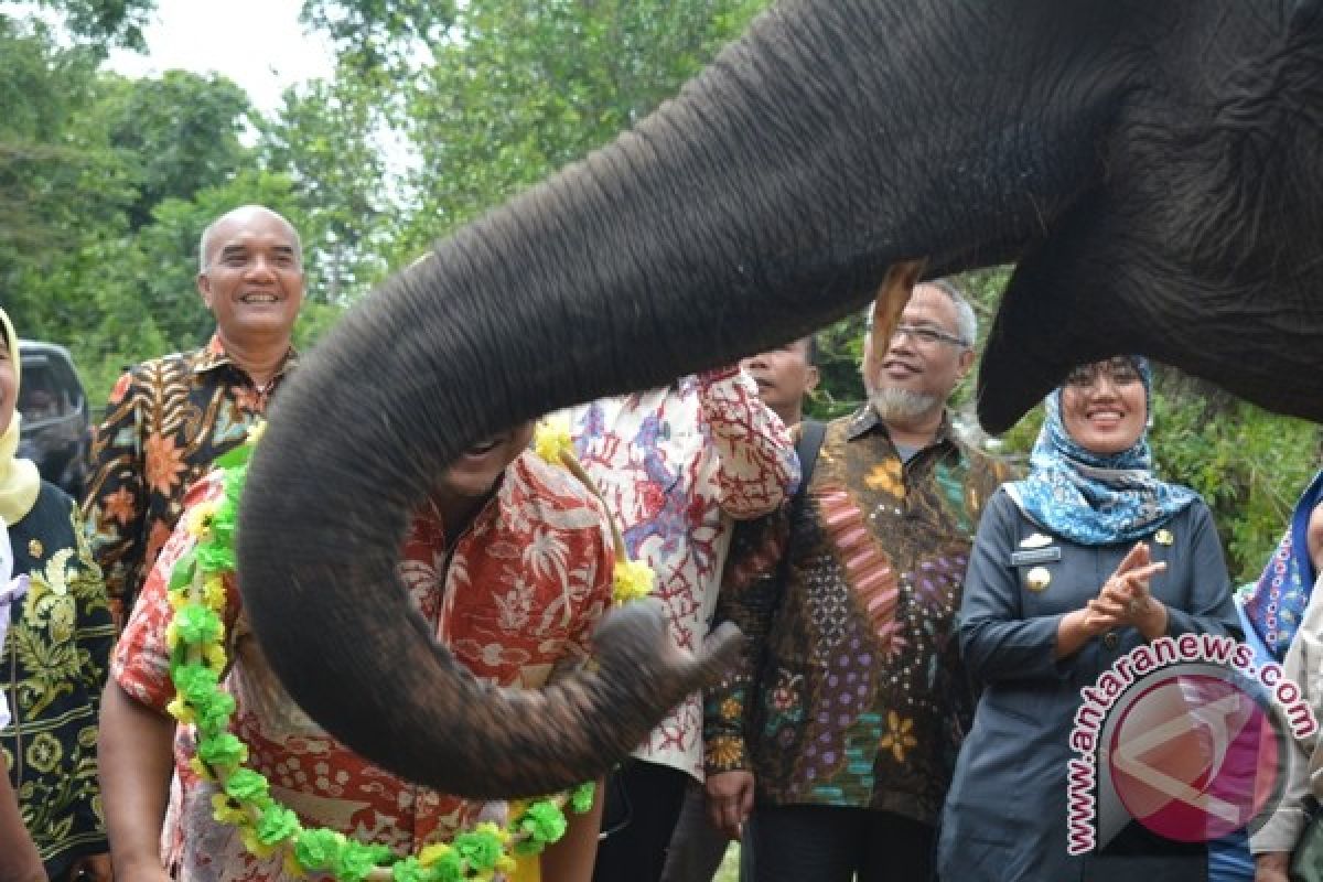 Dede Yusuf Bernostalgia di Way Kambas 