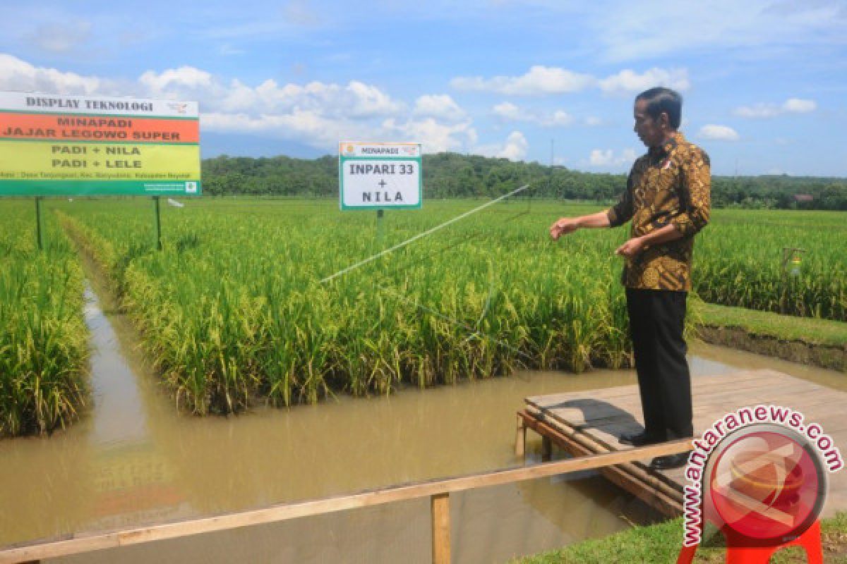 Koperasi Indonesia beromzet triliunan rupiah, Presiden mengaku bangga