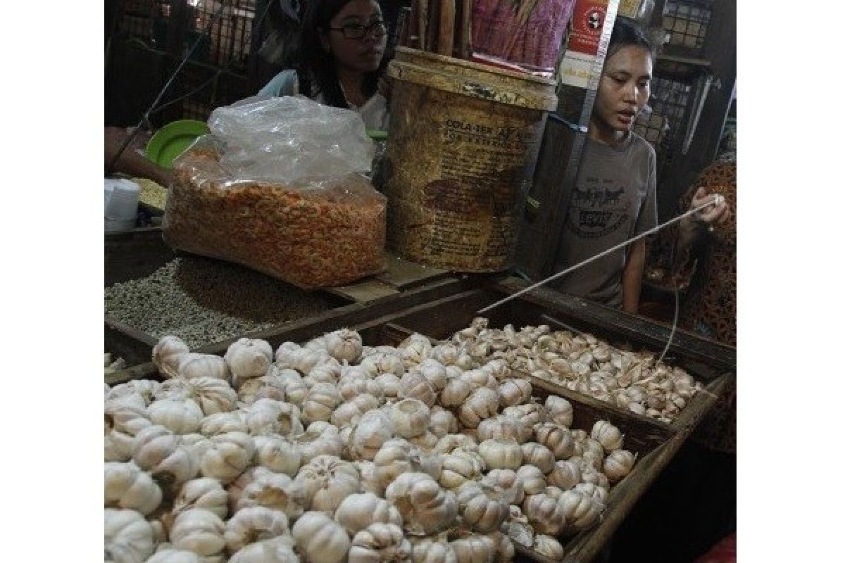 Wah! Harga Bawang Putih di Sampit Naik Tinggi 