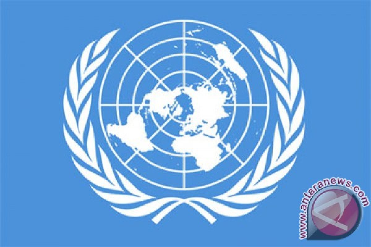 Dewan PBB Akui Kemajuan HAM Indonesia
