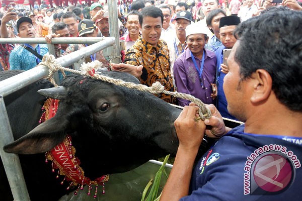 Mentan: swasembada protein tercapai 5 tahun