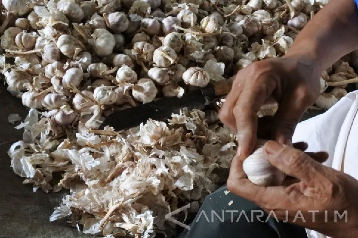 Jangan dibuang, ini manfaat kulit bawang