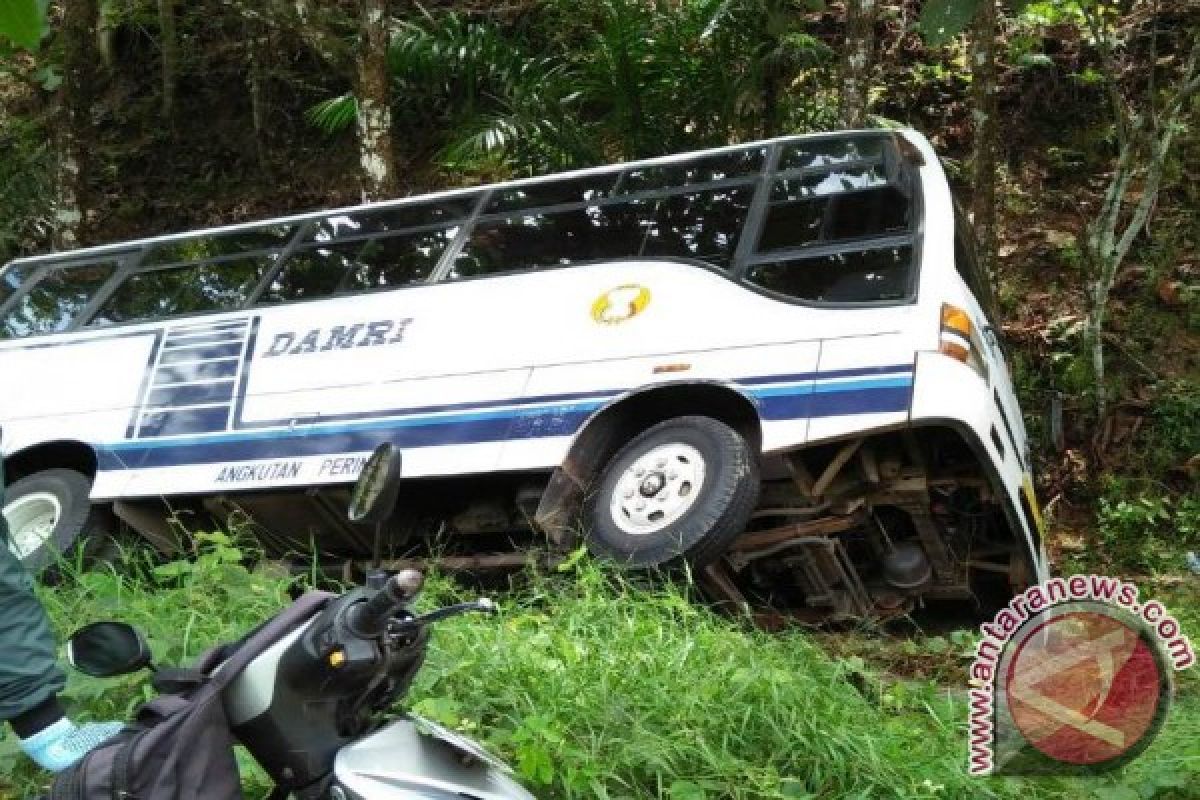 Bus Damri Jatuh Ke Jurang