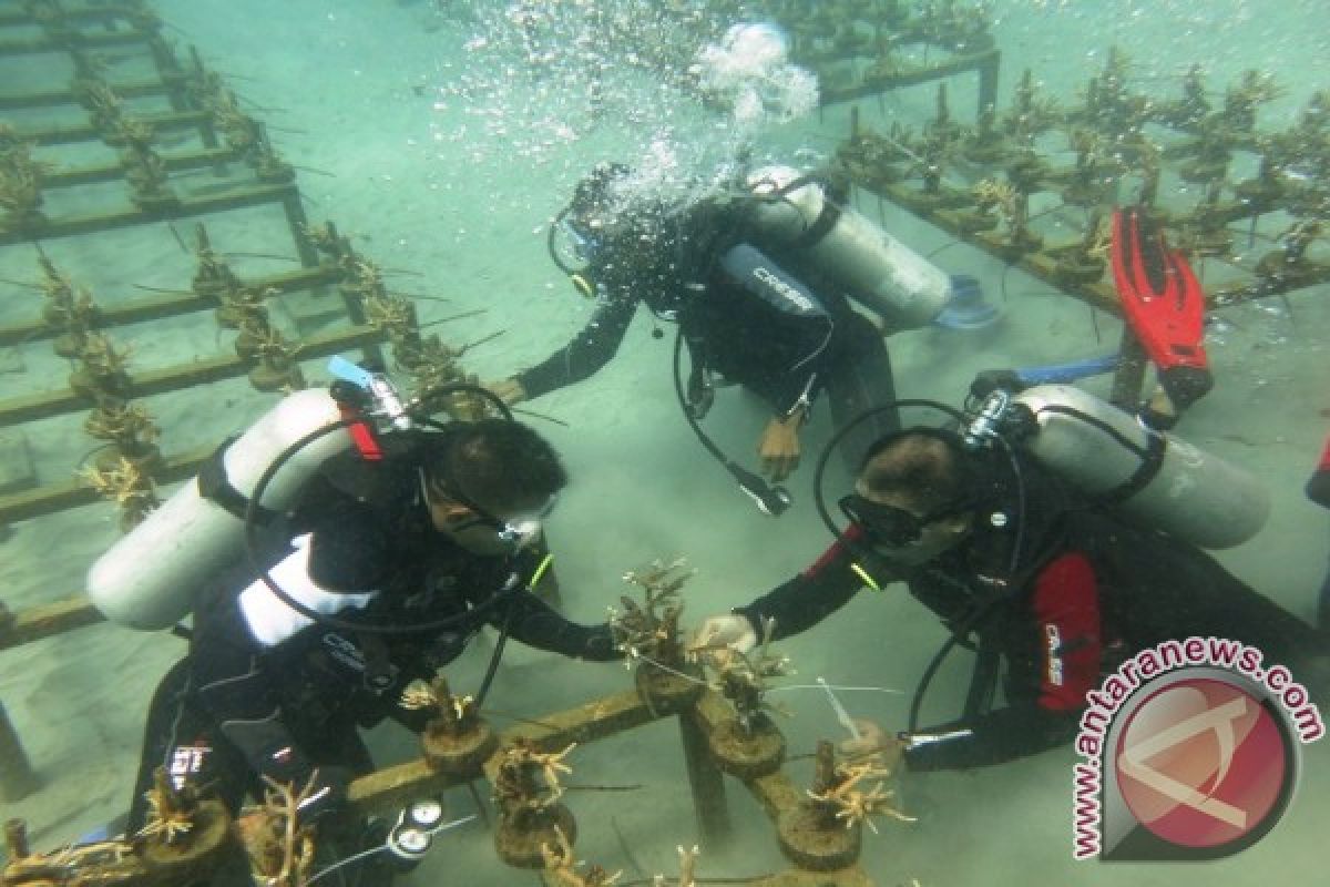 DKP rehabilitasi terumbu karang Taman Laut Nukila