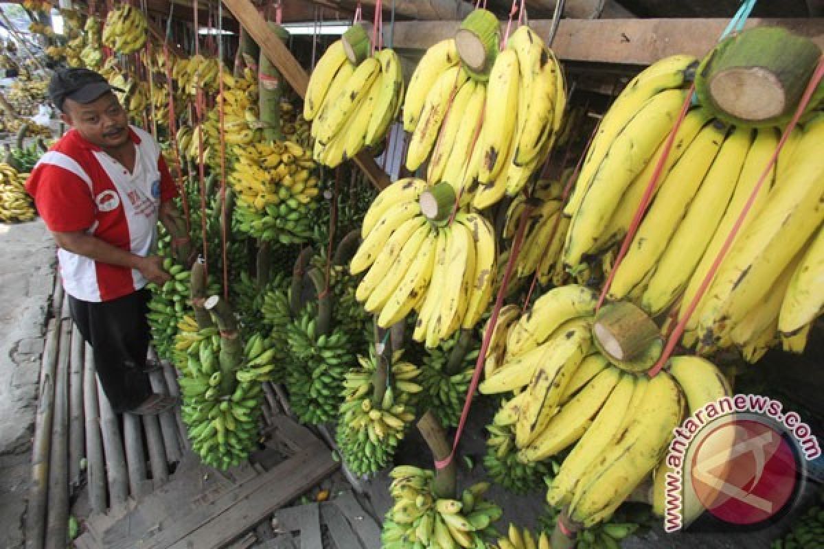 Pemkot Sukabumi Bangun Pasar Khusus Pisang