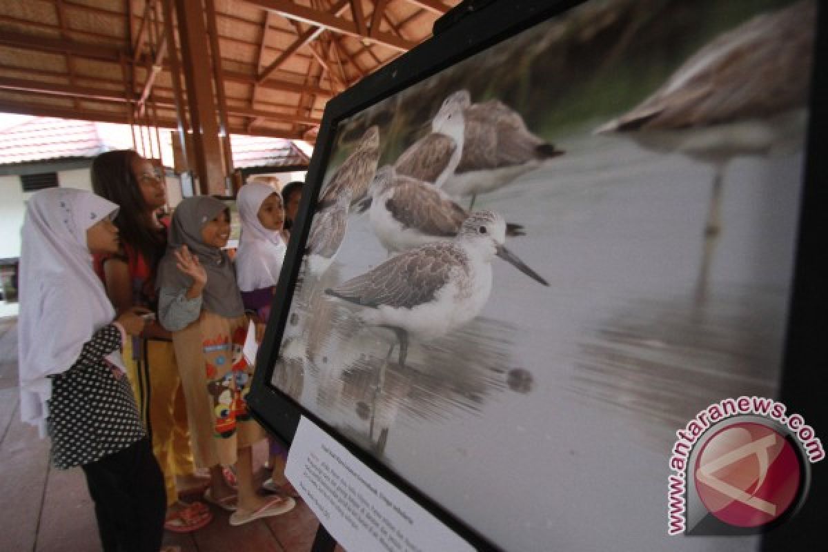Biota Pamerkan Foto Burung Migran Di Danau Limboto 