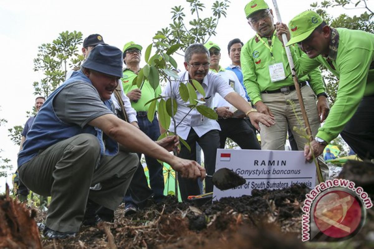 Gubernur ingatkan Pagar Alam jaga hutan lindung