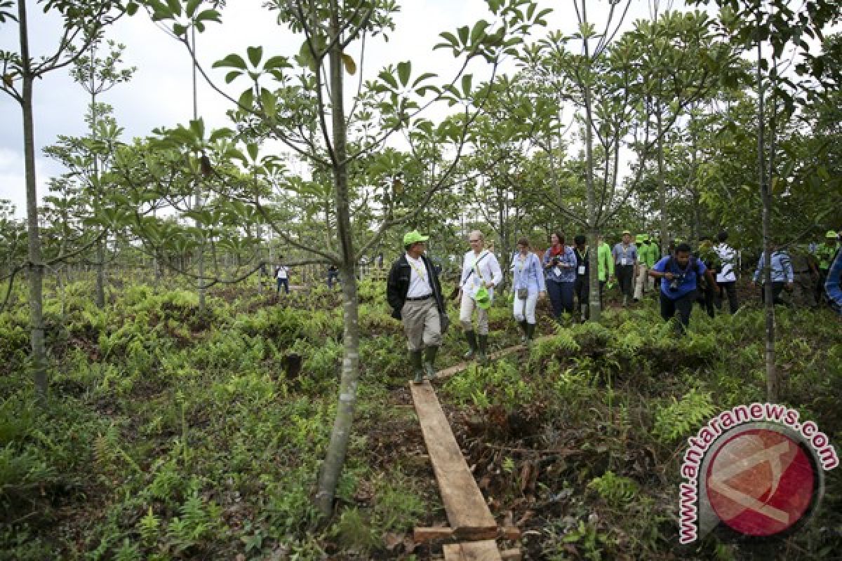 BRG bangun sekolah lapang Ogan Komering Ilir