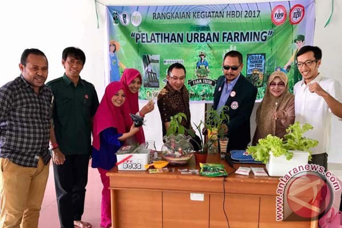 BPP PISPI-PB IDI Kembangkan "Urban Farming" 