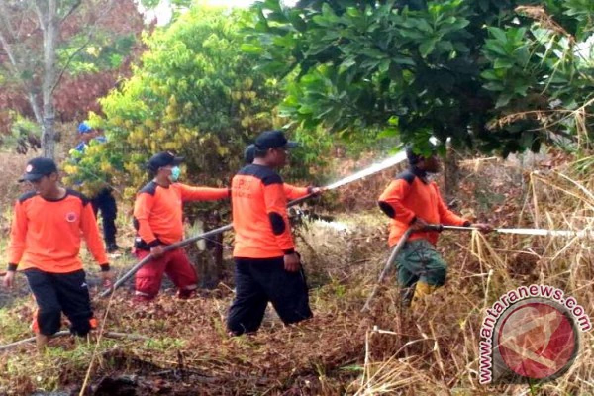 BPBD Palangka Raya berharap anggaran penanganan bencana ditambah