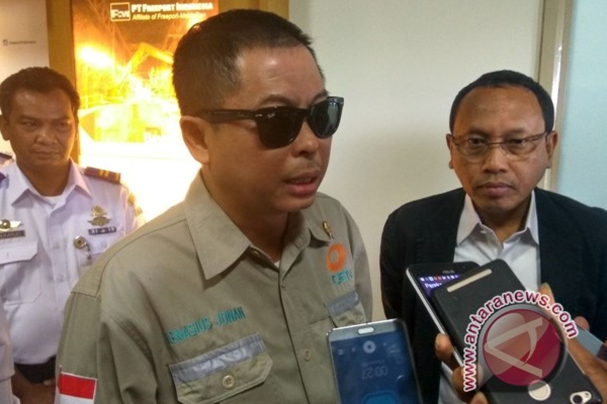 Menteri ESDM: "smelter" Freeport tidak harus di Papua