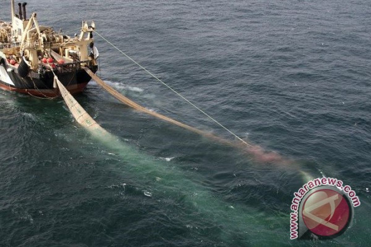 Penertiban Alat Tangkap Selamatkan Biota Laut 