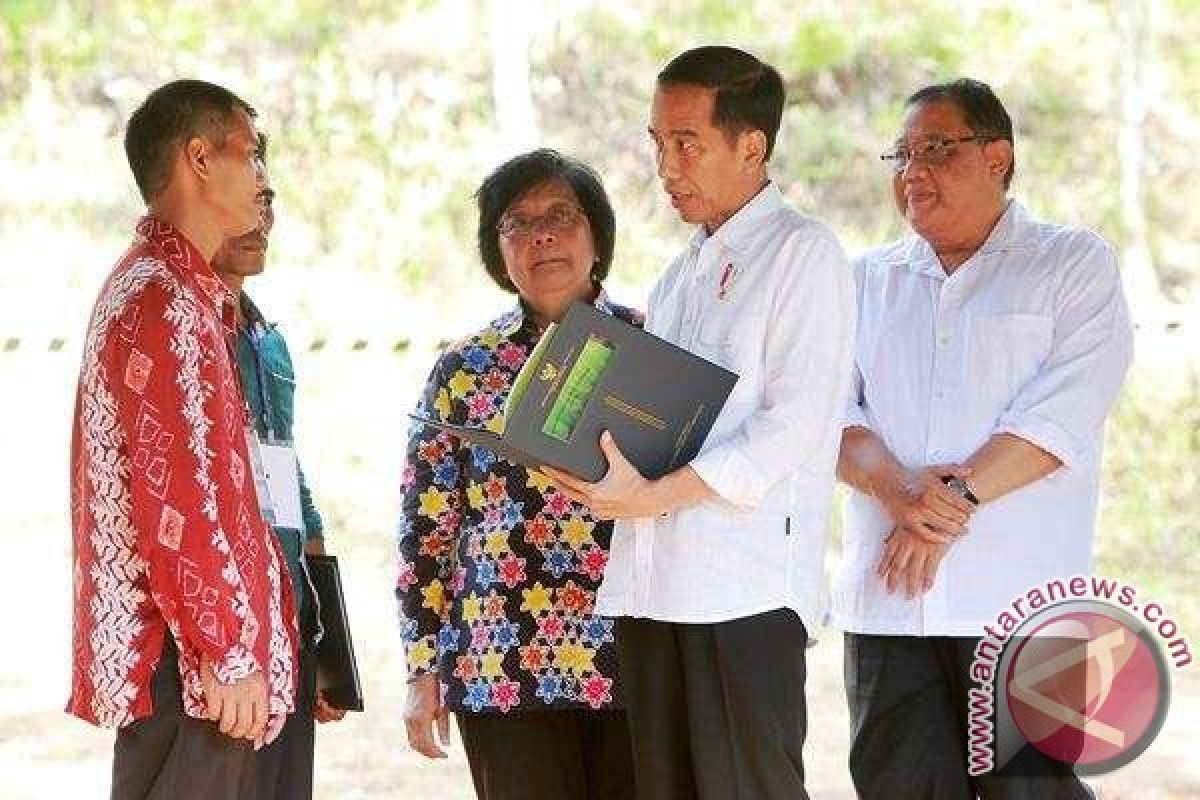 Presiden Jokowi Serahkan SK Pengelolaan Hutan Desa Dayak Pitap